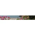 Logo Hotel Restaurant Cala Luna