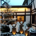 Logo Hotel ""Schinderhannes""