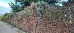 HOTI Garten- und Landschaftsbau R&ouml;hrmoos