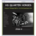 Logo HS Quarterhorses GmbH