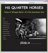 Logo HS Quarterhorses GmbH