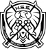 Logo HSS Hellmiss Security Service