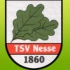 Logo Hummelhus Nesse