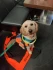 Logo Hund-Katze-Mensch/ Hundeschule Apel