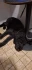 Logo Hund & Partner