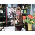 Hunde und Katzensalon BLACK &amp; WHITE Dogs Coiffeur and More