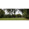 Logo Hunde-Parkhotel