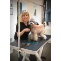 Hunde Salon Prachtfell Roetgen