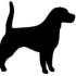 Logo Hundefriseur Hundestudio Bremen