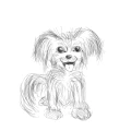 Hundefriseur Zornow Sangerhausen