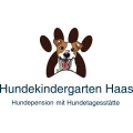 Hundekindergarten Haas Rheinm&uuml;nster