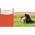 Logo Hundepension-Isarwinkel Franziska Feldsieper