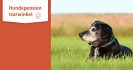 Logo Hundepension-Isarwinkel Franziska Feldsieper