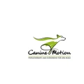 Hundephysiotherapie - Canine Motion Aalen