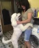 Logo Hundesalon am See Anke Miersch Hundepflege