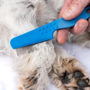 Hundesalon ChiccoBello - für alle Felle Rielasingen-Worblingen