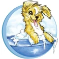 Logo Hundesalon Chico Martina Hermsdorf