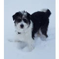 Meine Emma
