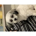 Hundesalon Gabi Rubel Lebach