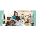 Logo Hundesalon Ins K&ouml;rbchen
