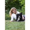 Hundesalon K&ouml;nnecke Bad Salzdetfurth