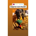 Hundesalon Miss Cler M&uuml;nchen