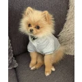 Hundesalon Rosemann Bad Driburg