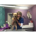 Hundesalon Scotty J. Kastius Steffenberg