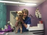 Logo Hundesalon Scotty J. Kastius