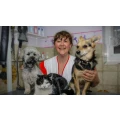 Logo Hundesalon Villingen