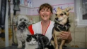Logo Hundesalon Villingen