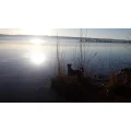 Hundeschule Ammersee Die&szlig;en