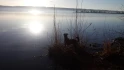 Logo Hundeschule Ammersee