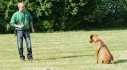 Logo Hundeschule Behnke