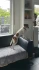 Logo Hundeschule - das positive Training