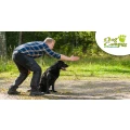 Logo Hundeschule Dog Campus