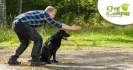 Logo Hundeschule Dog Campus, Isabell Lahme