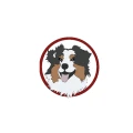 Hundeschule Dog Fun