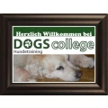 Logo Hundeschule dogs-college