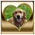 Logo Hundeschule mit Herz Inh. Heike Bethge