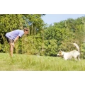 Logo Hundeschule Schwitalla