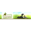 Logo Hundeschule Susanne Venthien