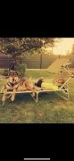 Hundeschule und Hundepension Bunk Vilseck