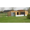 Logo Hundeschule und Tierpension Silvia Bergemann