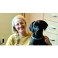 Hundeschule und Tierpsychologie Iris Bahrke-Schabacker Dresden