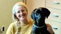 Logo Hundeschule und Tierpsychologie Iris Bahrke-Schabacker