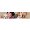Logo Hundeschule Willich