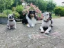 Logo Hundeschule Zum Wolfsblick Melanie Ohrt