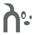 Hundetrainer | Stefan Thal Berlin