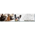 Logo Hundezucht Uthoff